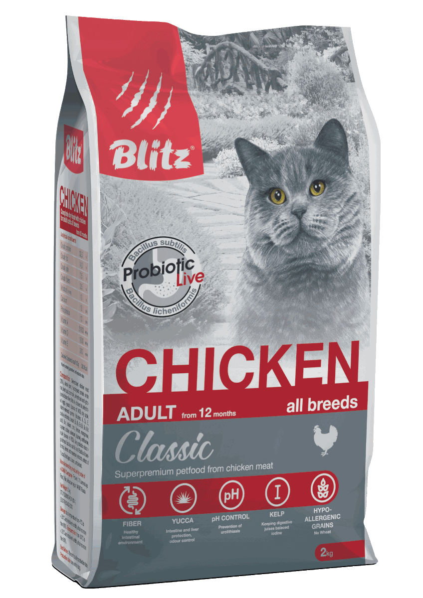 Korm blitz for adult cats chicken