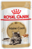 E maine coon wet