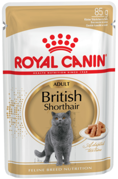 Влажный корм для взрослых кошек породы британская короткошерстная Royal Canin British Shorthair 85 гр