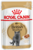 E british shorthair wet