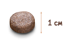 O o 02 granula junior