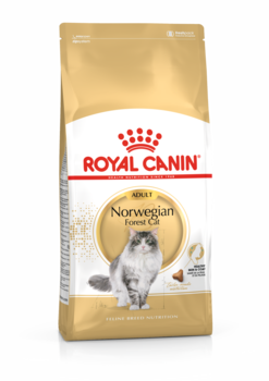 Сухой корм для взрослых кошек породы Норвежская лесная возрасте 12 месяцев Royal Canin Norwegian Adult 400 гр, 2 кг