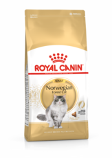 Сухой корм для взрослых кошек породы Норвежская лесная возрасте 12 месяцев Royal Canin Norwegian Adult