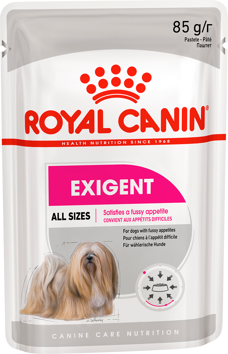 Exigent ccn pouch 85 face 1
