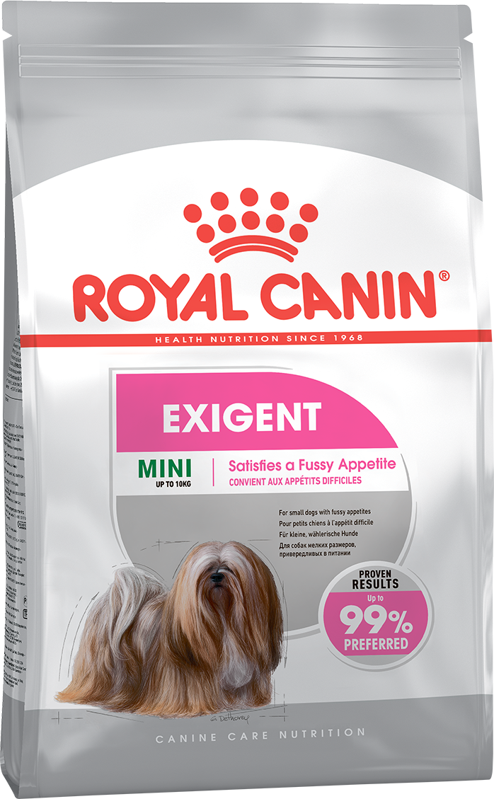 Mini exig ccn packshot face 1