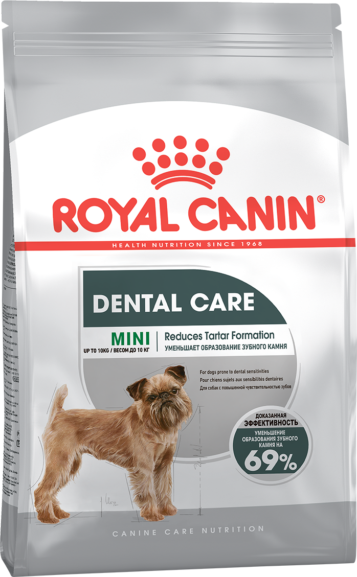 Mini dental ccn packshot face 1