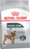 Mini dental ccn packshot face 1