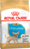 Pu chihuahua packshot bhn18 high res. print 62813 1