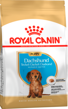 Сухой корм для щенков собак породы такса в возрасте от 2 до 10 месяцев Royal Canin Dachshund Puppy, Роял Канин Такса Паппи 1,5 кг