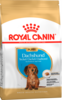 Pu dachshund packshot bhn18 high res. print 62816 1