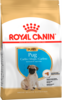 Pu pug packshot bhn18 high res. print 62829 1