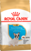 Pu french bulldog packshot bhn18 high res. print 62818 1