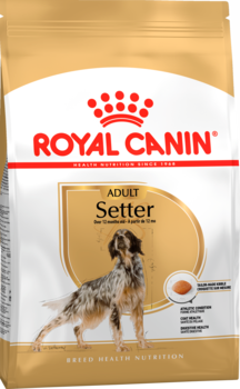 Сухой корм для Сеттеров старше 12 месяцев Royal Canin Setter Adult, Роял Канин Сеттер Эдалт 12 кг