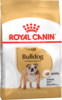 Ad bulldog packshot bhn18 high res. print 1