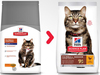 Hairball mature2