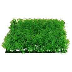 Растение Коврик зеленый, 250*250*30мм