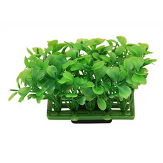 Растение Коврик зеленый, 68*43*60мм