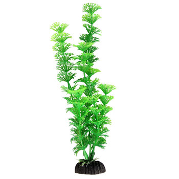 Растение Амбулия зеленая, 300мм