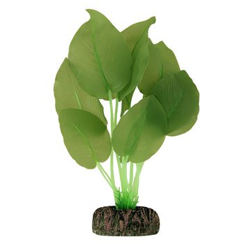 Растение Анубиас зеленый, 200мм