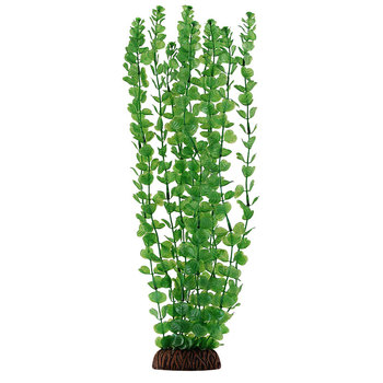 Растение Бакопа зеленая, 400мм