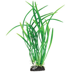 Растение Бликса зеленая, 100мм