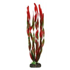 Растение Валлиснерия красная, 400мм