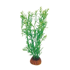 Растение  Гетерантера зеленая, 200мм
