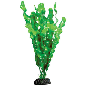 Растение Ламинария зеленая, 300мм
