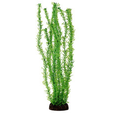 Растение Лигодиум зеленый, 400мм