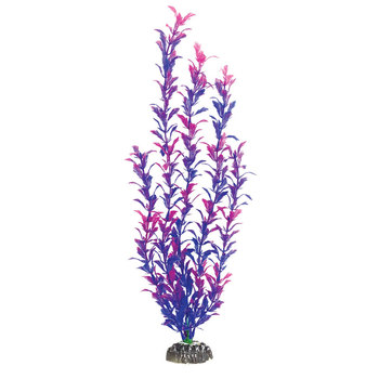 Растение Людвигия фиолетовая, 100мм