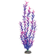 Растение Людвигия фиолетовая, 200мм