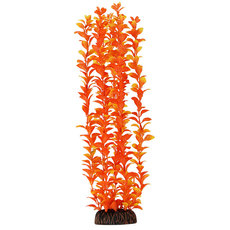 Растение Людвигия оранжевая, 400мм