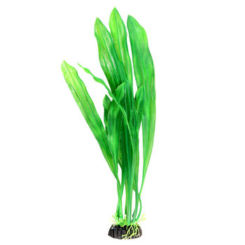 Растение Сагиттария зеленая, 300мм