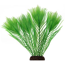 Растение Эгерия зеленая, 250мм