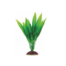 Растение Эхинодорус зеленый, 200мм