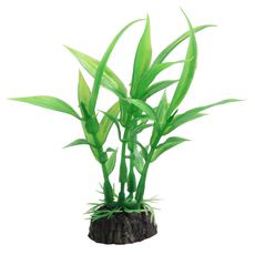 Растение Гигрофила зеленая, 100мм