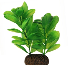 Растение Самолюс зеленый, 100мм
