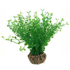 Растение с распылителем Бакопа мелколистная  зеленая, 70*70*200мм, (блистер)