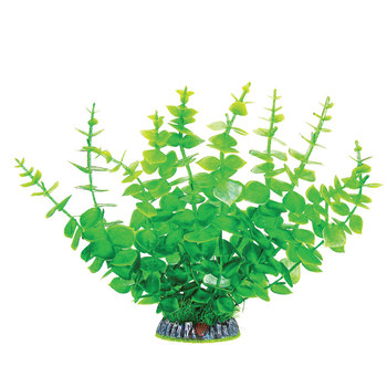Растение с распылителем Бакопа желто-зеленая, 90*90*320мм, (блистер)