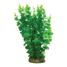Растение с распылителем Бакопа  зеленая, 400мм, (блистер)