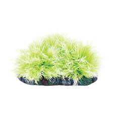 Растение с распылителем Куст светло-зеленый, 170*70*80мм