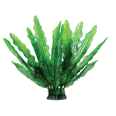 Растение с распылителем  Увирандра  зеленая, 400мм, (блистер)