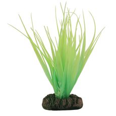 Растение светящееся Бликса зеленая, 150мм, (блистер)