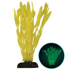 Растение светящееся Валлиснерия желтая, 200мм, (блистер)