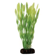Растение светящееся Валлиснерия зеленая, 200мм, (блистер)