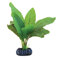 Растение шелковое  Эхинодорус крапчатый, 130мм