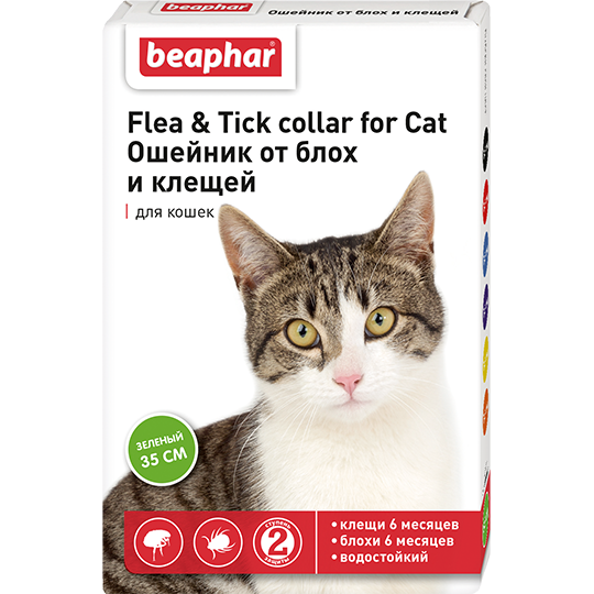Flea and tick collar for cats best sale