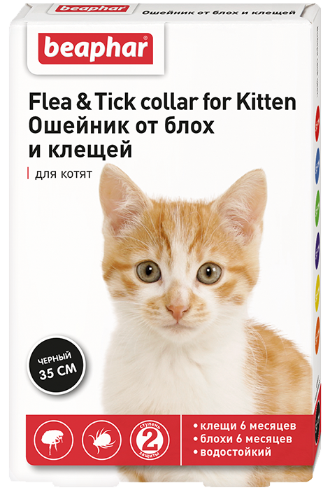 Osheynik flea tick collar for cat ot blokh i kleshchey dlya kotyat