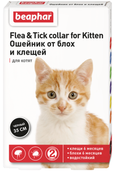 Osheynik flea tick collar for cat ot blokh i kleshchey dlya kotyat