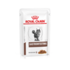 Vhn gastrointestinal cat cig pouch packshot